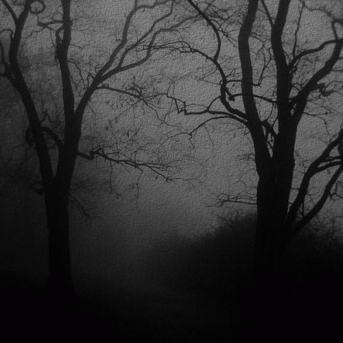 Nokturhn : Forest of Yore